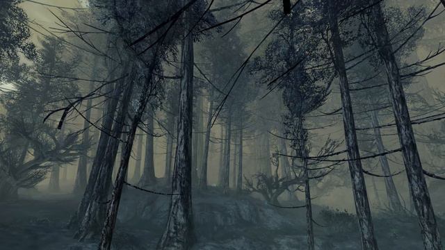 Guild Wars 2 Bjora Marches Aberrant Forest Sound