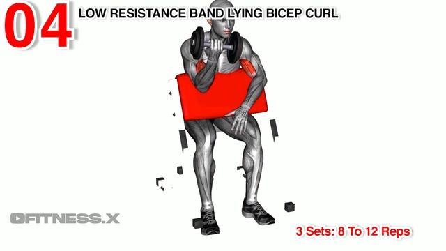 Get Bigger Biceps: Top 7 Exercises For Maximum Arm Growth