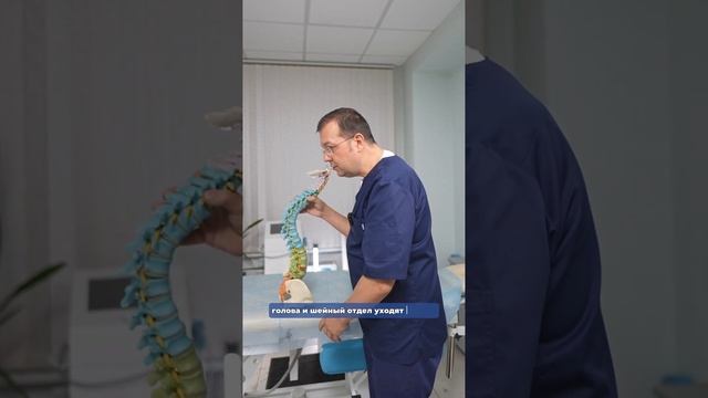 Позвоночник - основа тела?