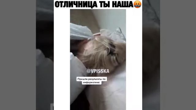 Реакция на низкие баллы егэ