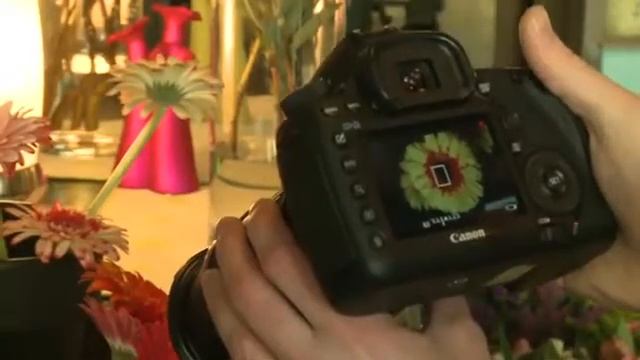 E4bedb965d7fe8828a38bb92e2a99780