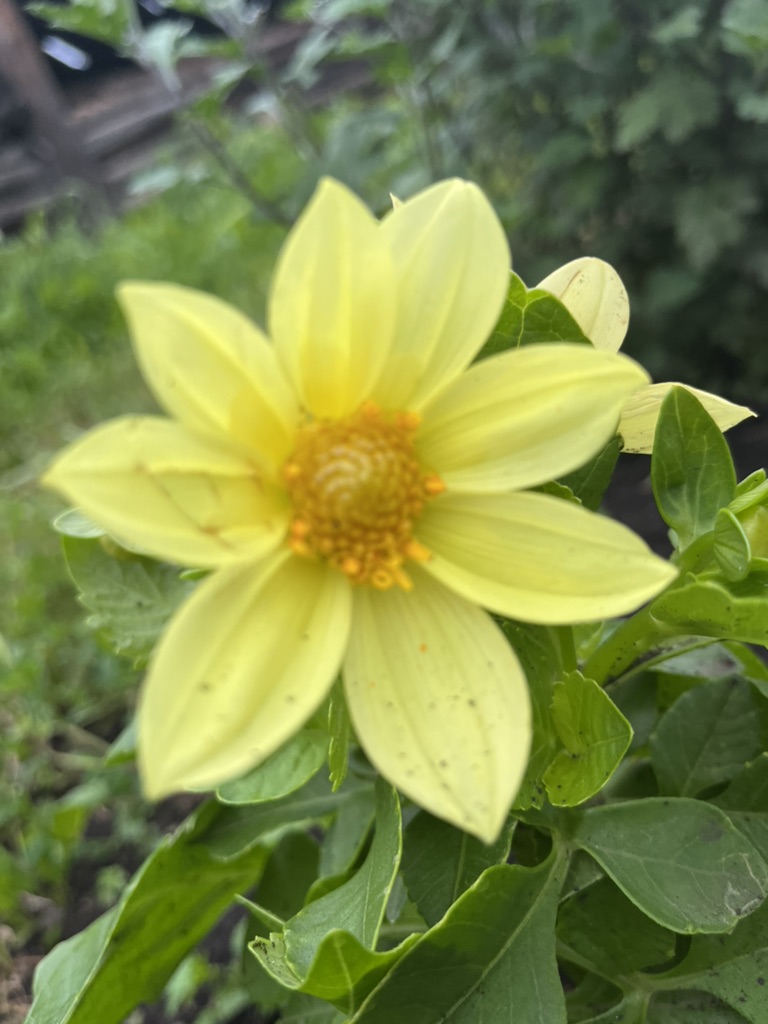 4da2045775c87c38da45e0558a89cda5