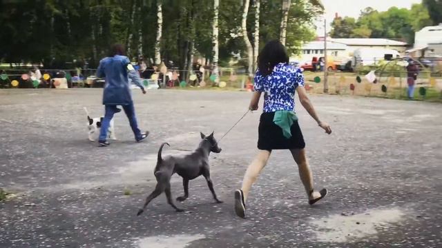 Ffd9044245ba6010eb9641d7b6988c5a