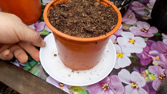 30940197738230e6588503e04b91deac