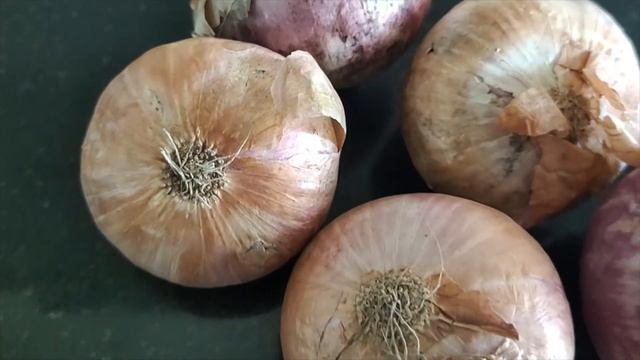 സവാള കഴിക്കാമോ  /Onion Black Mold/Onion (Allium Cepa)-Black Mold/Black Mold Of Onion/Black Fungus/