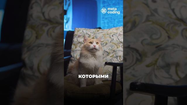Хочешь узнать как кот может поднимать кэш?