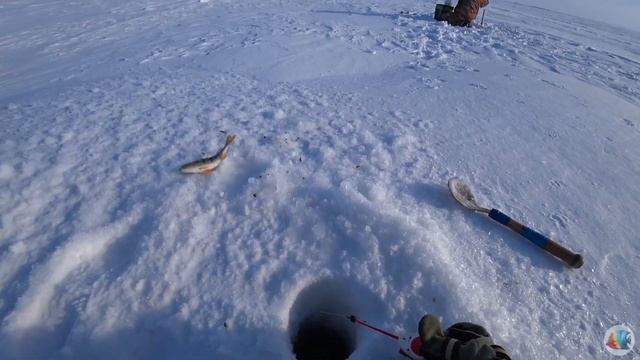 ГЛУХОЗИМЬЕ!!!РЫБАЛКА ДЛЯ ДУШИ