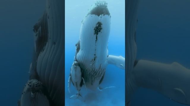 Fbd0840c3b6a58d1f09004203690c35b