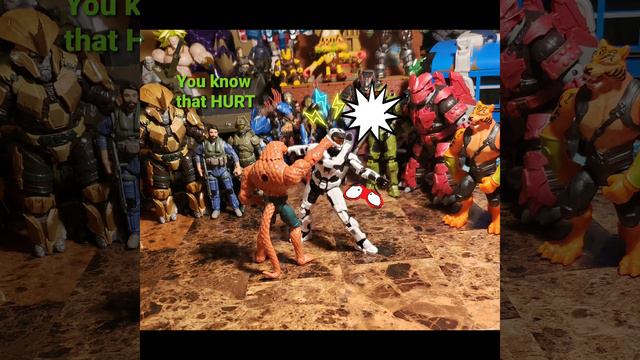 Demolition Derby- Halo Infinite & DC Spin Masters 3.75