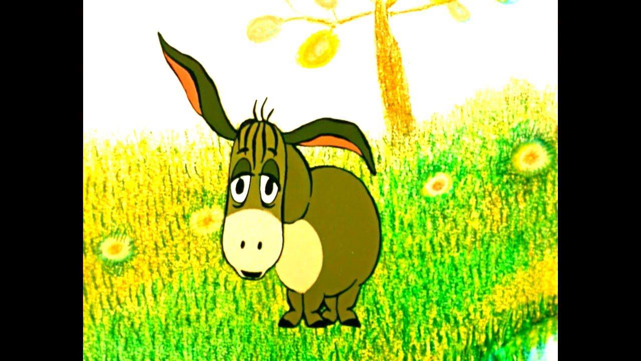 8fbccc3656ebbeb60466e518bdcd337b