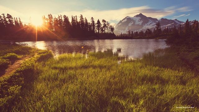 Расслабляющая Музыка от Нервов. 1час Лёгкая Музыка Релакс Piano Ambient