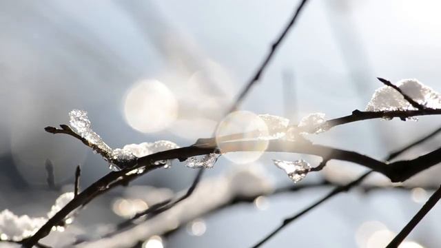 Beautiful Relaxing Bagpipe Harp Ocarina Violin Celtic Music...