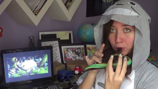 My Neighbor Totoro à L'ocarina