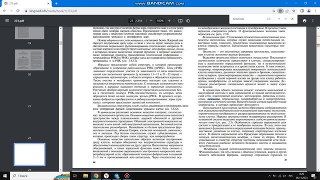 первое видео по бандикам. это запись экрана.