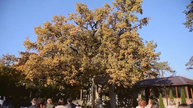 Свадебное агентство Be Happy