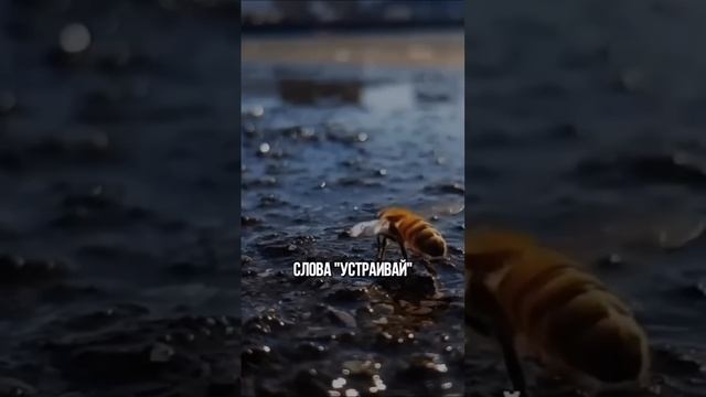 B049e97e5e6b3f6c9eb6729436a49536