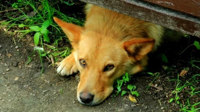 1b1b9dc51973bea67a4d2a87acaafe24