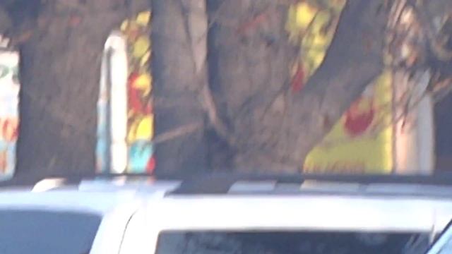 Sony DSC HX100v - Super ZOOM