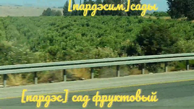 ИВРИТ С НУЛЯ.   УРОК 65.                    Репортаж с дороги.