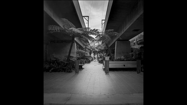 Photowalk With Kiev 88cm