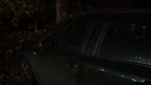 Удобство минивэна: когда функциональность важнее всего