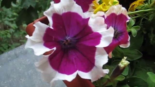 37f33e1b089817c53e0f8ec1b91b39ed