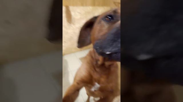 красивые мальчишки