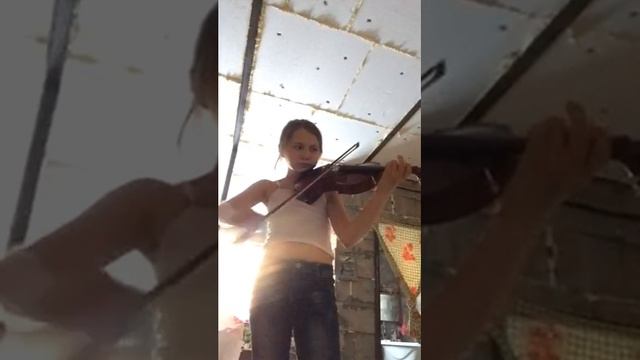 Скрипка Журавель