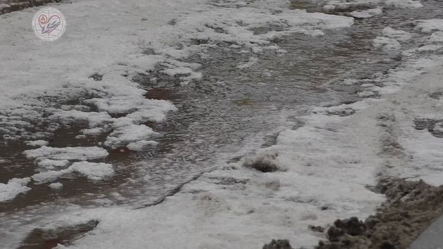 Пожар в усадьбе Лопухиных. Там был Музей Рериха. (10.12.2022)