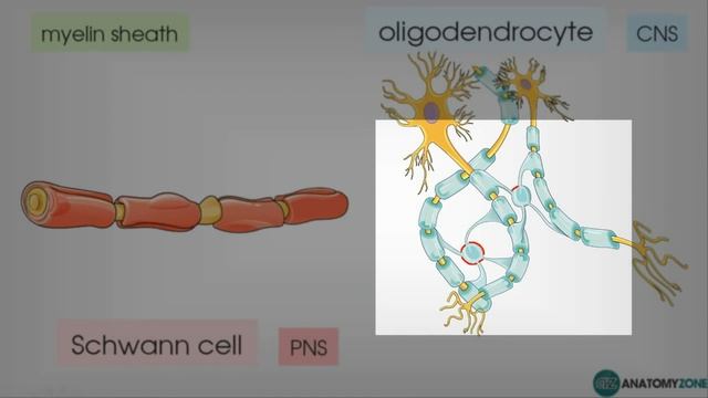 93479d9473ad1a0439002576c3c7d47d