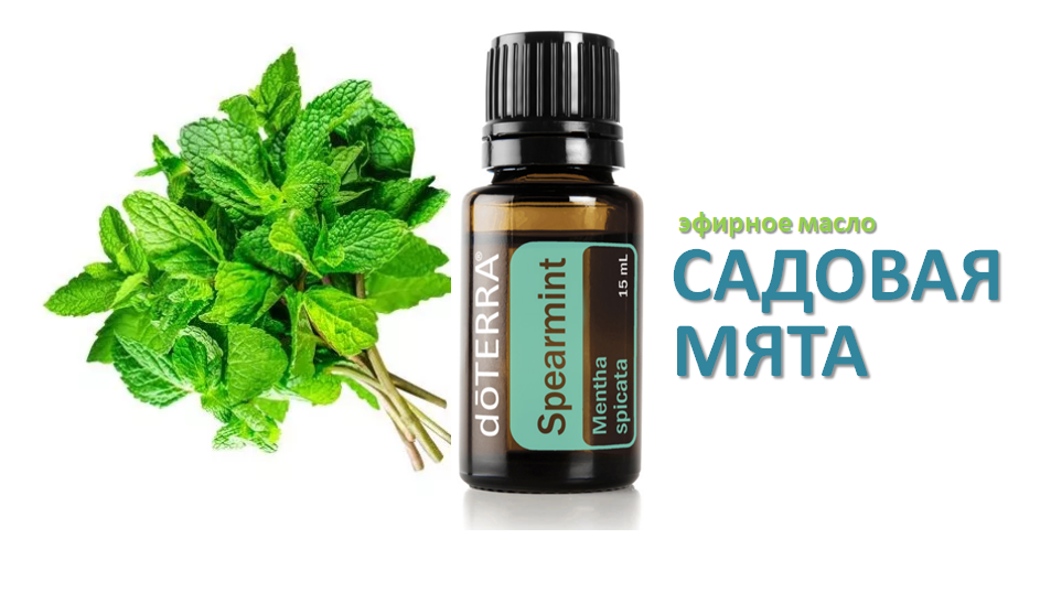 Мята садовая, эфирное масло DoTERRA