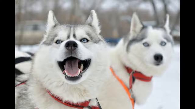 Ff4baaec61bde2865213ed44ab938a5d