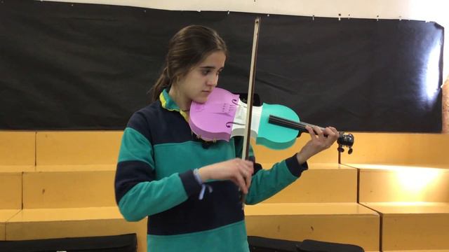 3D PRINTED VIOLIN. SOUND TEST