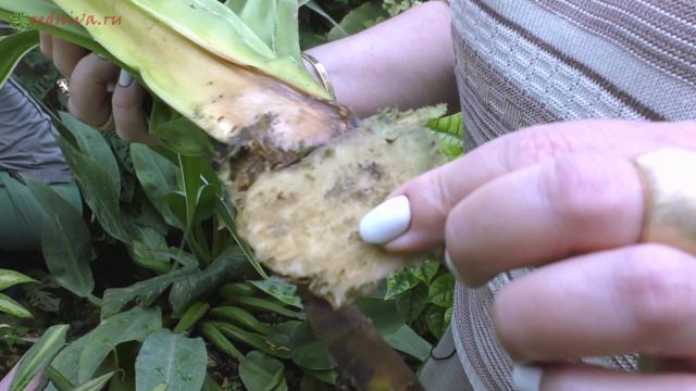 9b62de3c50ed70cb07db75deb75151ab