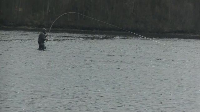 Вываживание сёмги 8. 700 кг