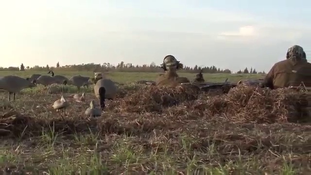 Утиная охота 