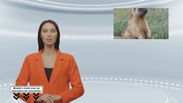 Волгоградская область пересчитала сусликов с сурками перед сезоном охоты