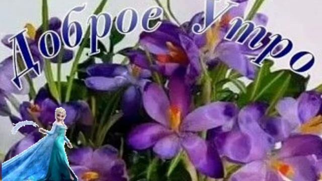 Доброго утречка. Хорошего  денёчка  и настроения.