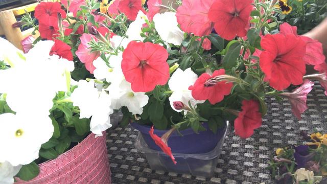 มาเว้าจากันยามเช้าพอไห้กินข้าวแซบ😁😁