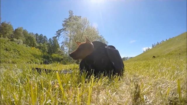 C26c98b7008d490f5f60e1d2c05485a8