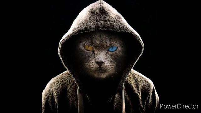 Новинки и обзоры игр