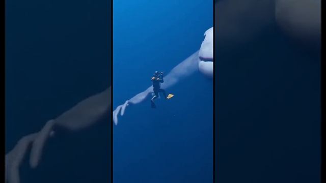 Действовать