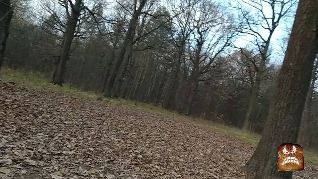 Zloy Cyxapb - Осенние цветы