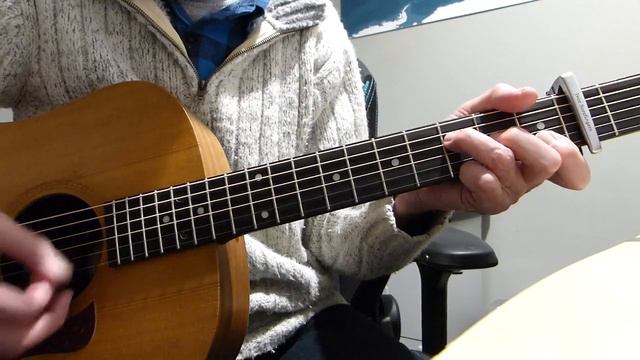 Brighter Shade - Lost Dog Street Band - Guitar Lesson