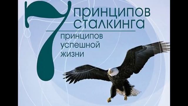 Семь принципов сталкинга