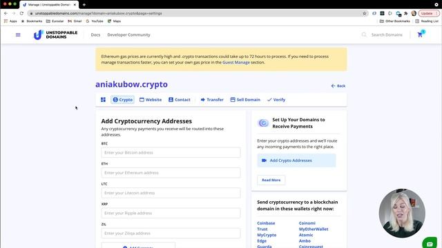 How To Build And Surf On The DECENTRALISED WEB! (Web3)