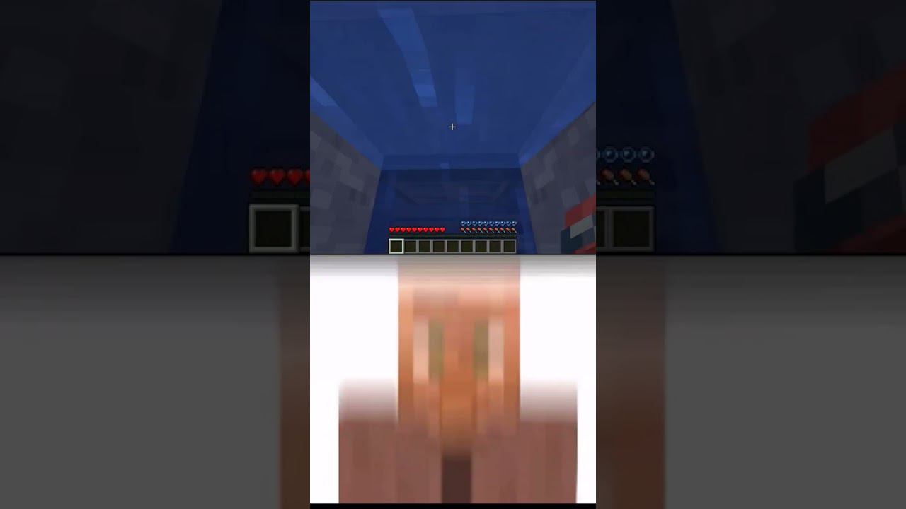 (Secret Door) Oi Oi Oi Minecraft Villager Meme