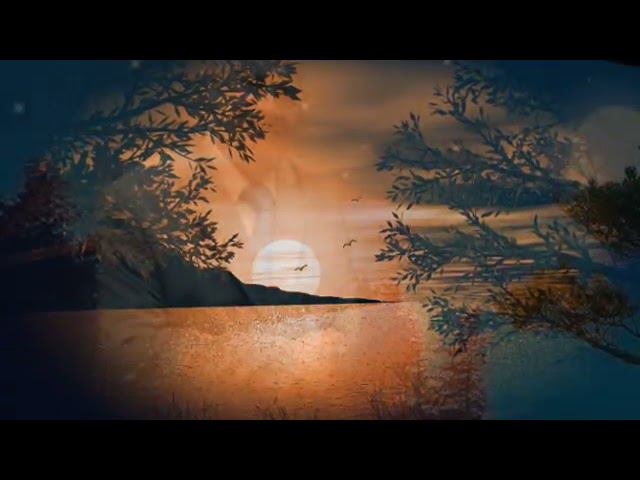 C16b2fb6b657217b69269bfb049ad1ff