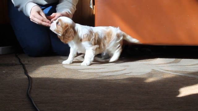 76a970315f88517a8f443ff4731915da