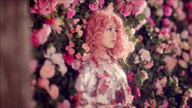 Davichi - Turtle